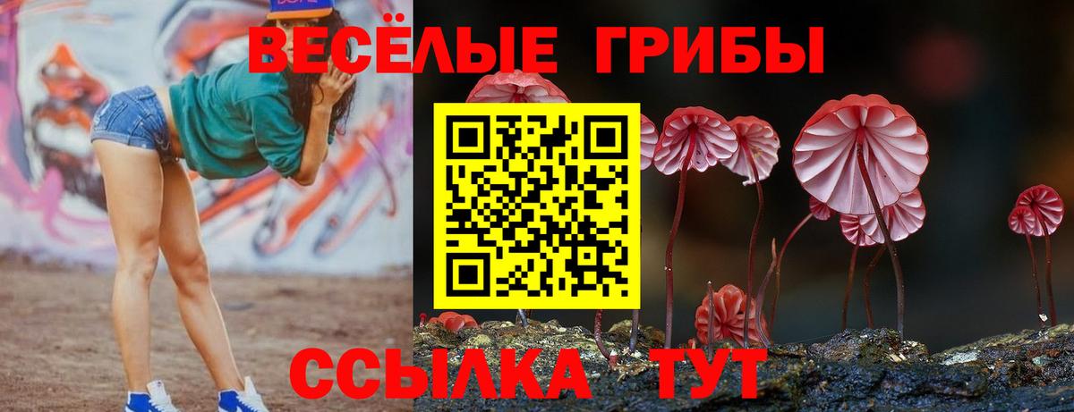 Псилоцибиновые грибы MAGIC MUSHROOMS  Вход с VPN  Заинск  Галлюциногенные грибы GOLDEN TEACHER 