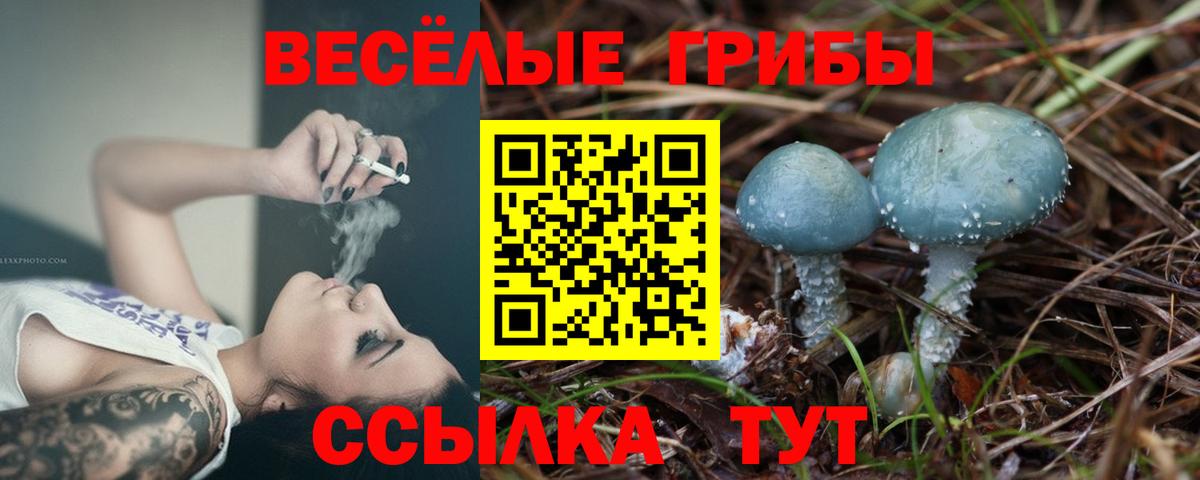 Псилоцибиновые грибы MAGIC MUSHROOMS Заинск